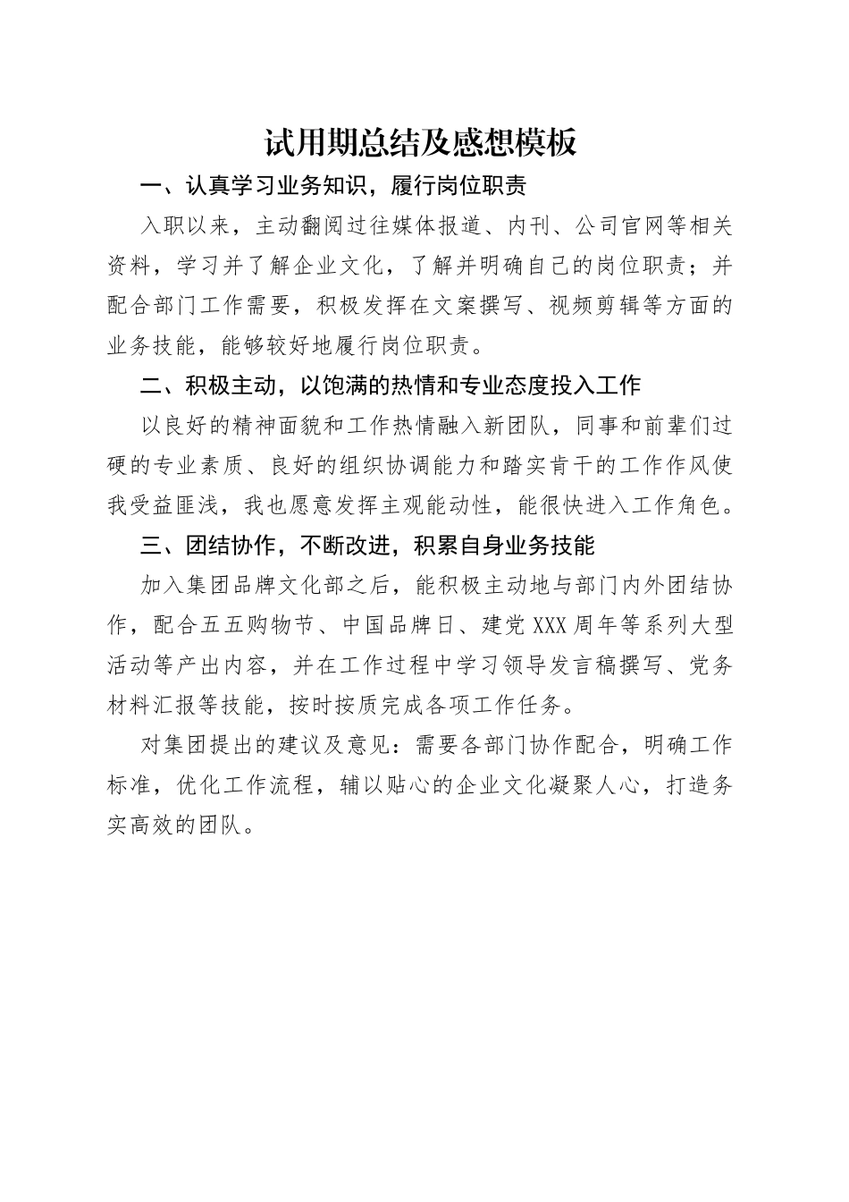 试用期总结及感想模板_第1页