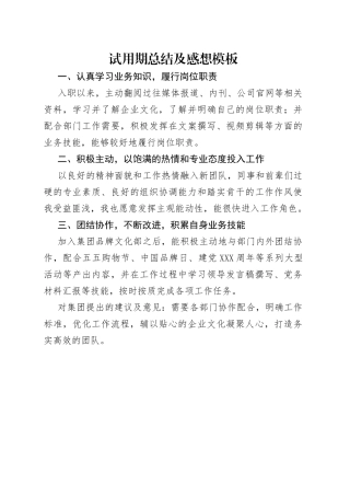 试用期总结及感想模板