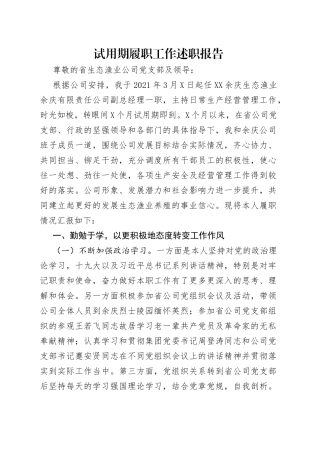 试用期履职工作述职报告