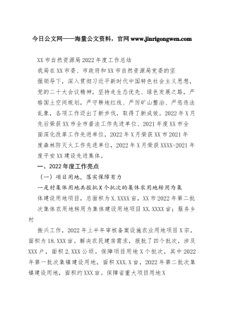 市自然资源局2022年度工作总结（20221103）_1