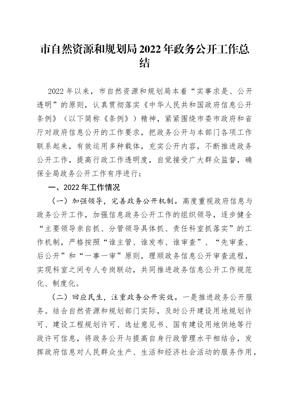 市自然资源和规划局2022年政务公开工作总结_第1页