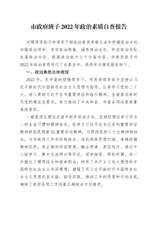 市政府班子2022年政治素质自查报告8