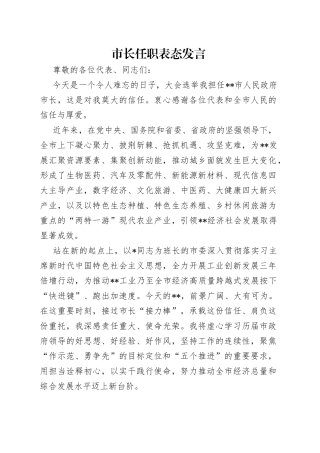 市长任职表态发言