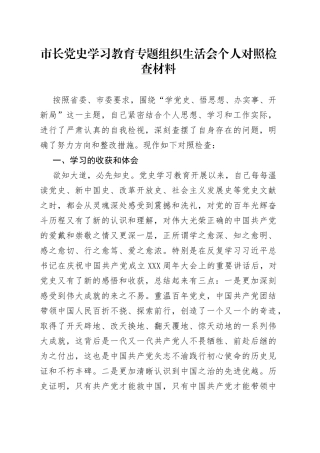 市长党史学习教育专题组织生活会个人对照检查材料