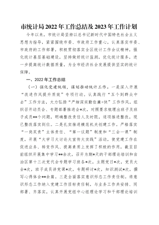 市统计局2022年工作总结及2023年工作计划