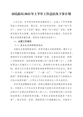 市民政局2022年上半年工作总结及下步计划