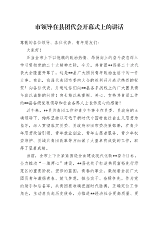 市领导在县团代会开幕式上的讲话7