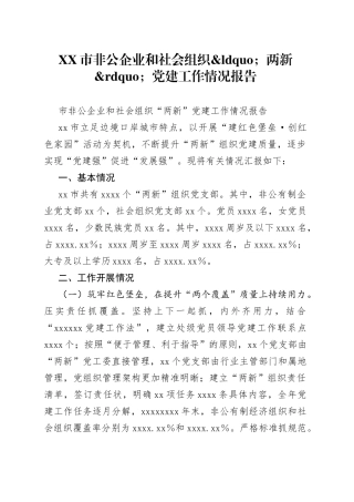 市非公企业和社会组织两新党建工作情况报告