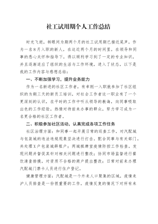 社工试用期个人工作总结