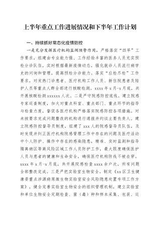 上半年重点工作进展情况和下半年工作计划