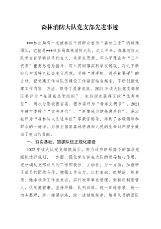 森林消防大队党支部先进事迹