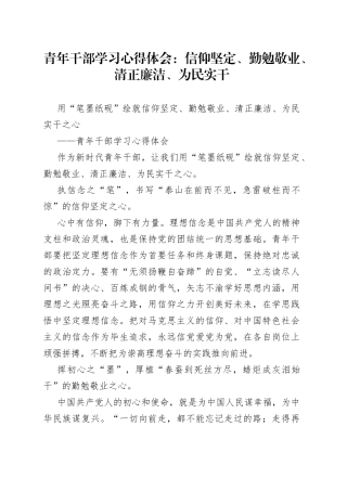 青年干部学习心得体会：信仰坚定、勤勉敬业、清正廉洁、为民实干