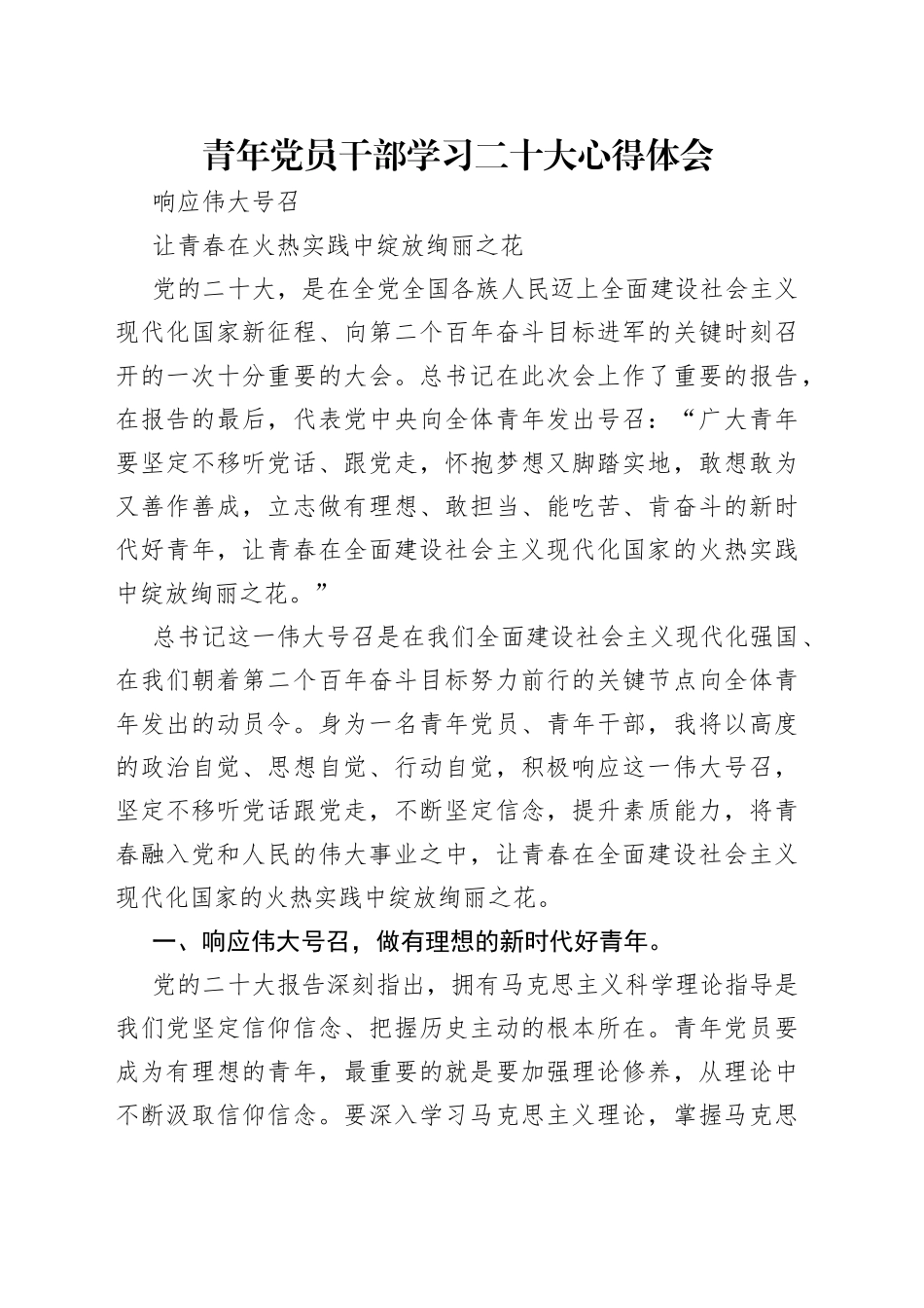 青年党员干部学习二十大心得体会_第1页