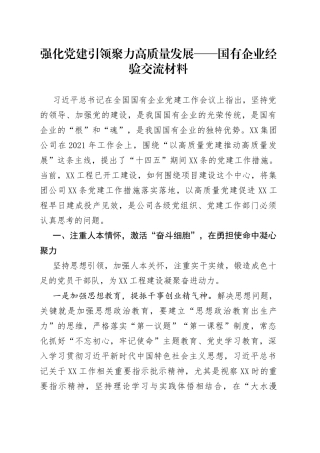 强化党建引领聚力高质量发展——国有企业经验交流材料