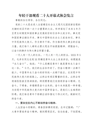 年轻干部观看二十大开幕式体会发言