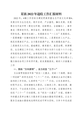 某镇2022年迎检工作汇报材料