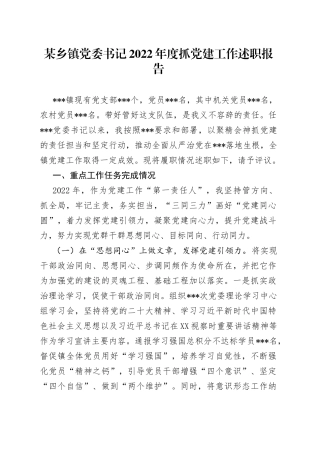 某乡镇党委书记2022年度抓党建工作述职报告