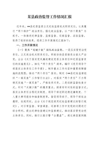 某县政治监督工作情况汇报08