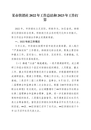 某市供销社2022年工作总结和2023年工作打算