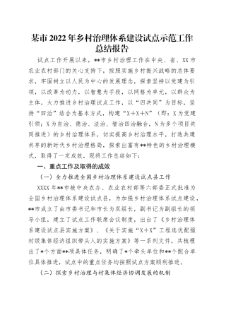 某市2022年乡村治理体系建设试点示范工作总结报告（1）