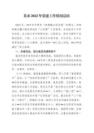 某市2022年党建工作情况总结5