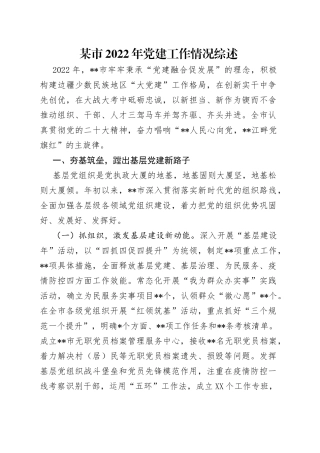 某市2022年党建工作情况综述20