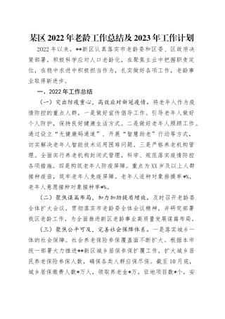 某区2022年老龄工作总结及2023年工作计划