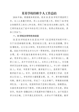 某某学校挂职个人工作总结