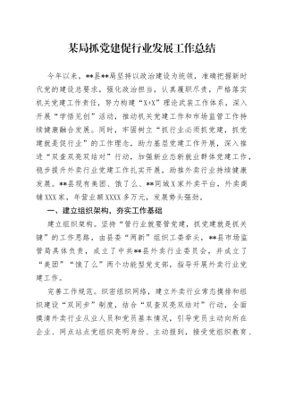 某局抓党建促行业发展工作总结