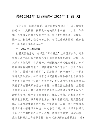 某局2022年工作总结和2023年工作计划71