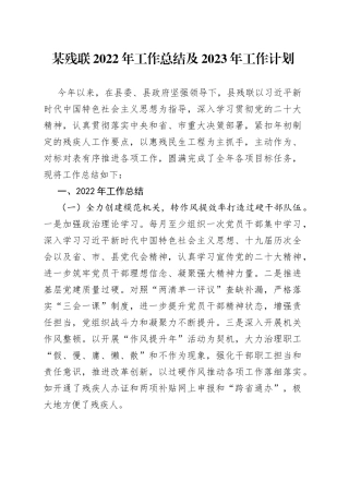 某残联2022年工作总结及2023年工作计划