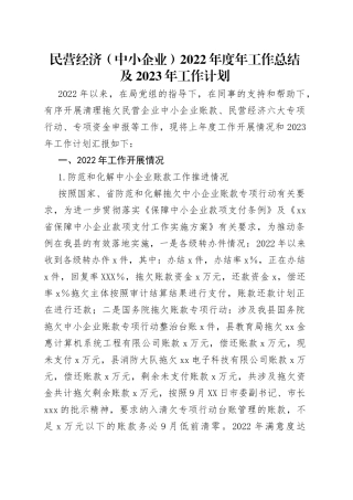 民营经济（中小企业）2022年度年工作总结及2023年工作计划