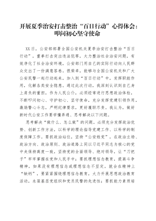开展夏季治安打击整治“百日行动”心得体会：叩问初心坚守使命