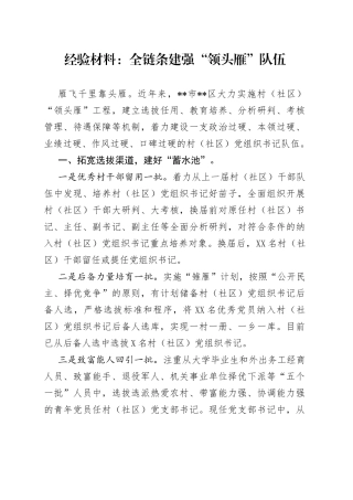 经验材料：全链条建强“领头雁”队伍