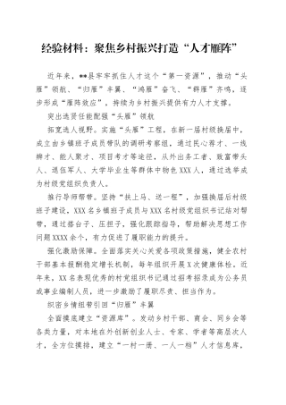 经验材料：聚焦乡村振兴打造“人才雁阵”