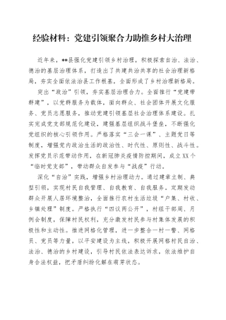 经验材料：党建引领聚合力助推乡村大治理