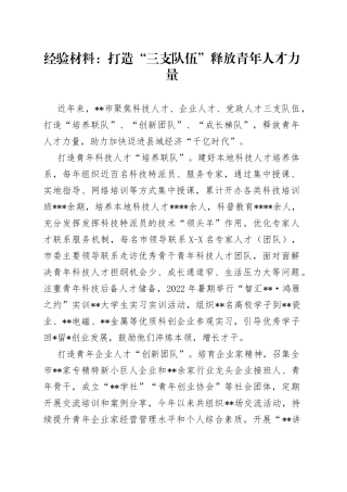 经验材料：打造“三支队伍”释放青年人才力量