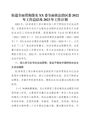 街道全面贯彻落实委全面依法治区委2022年工作总结及2023年工作计划