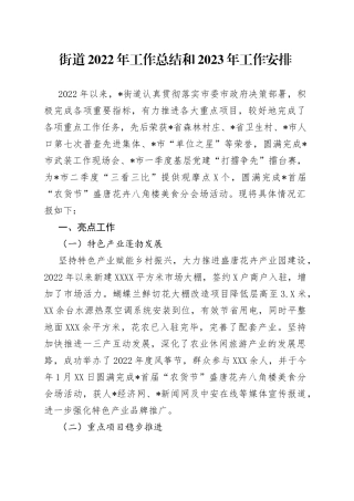 街道2022年工作总结和2023年工作安排