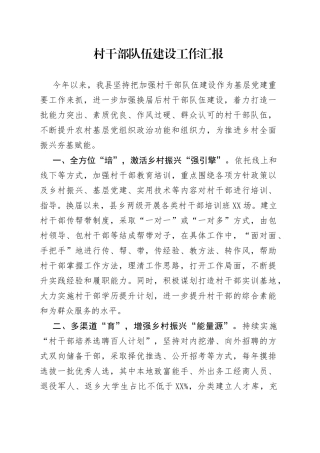 村干部队伍建设工作汇报