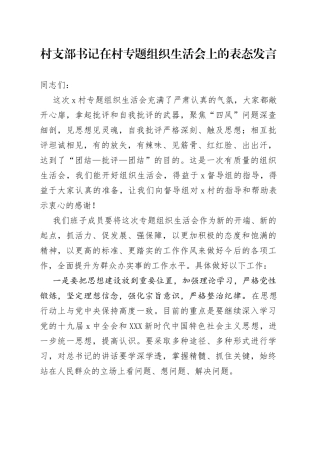 村支部书记在村专题组织生活会上的表态发言