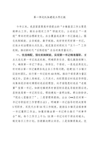 第一书记队伍建设工作汇报