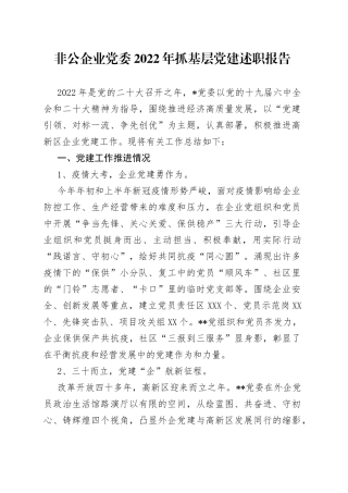 非公企业党委2022年抓基层党建述职报告—今日公文网