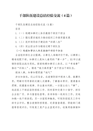 干部队伍建设总结经验交流（4篇）