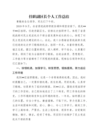挂职副区长个人工作总结