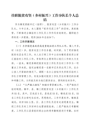 挂职脱贫攻坚（乡村振兴）工作分队长个人总结