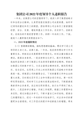 集团公司2022年度领导个人述职报告（1）