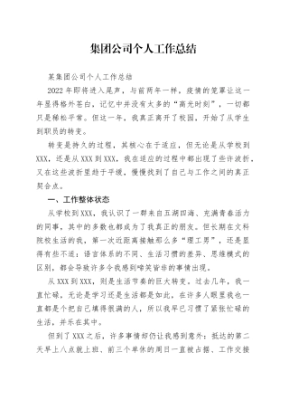 集团公司个人工作总结