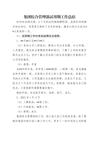 集团综合管理部试用期工作总结