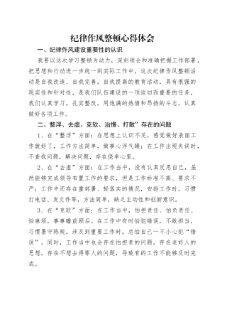 纪律作风整顿心得体会